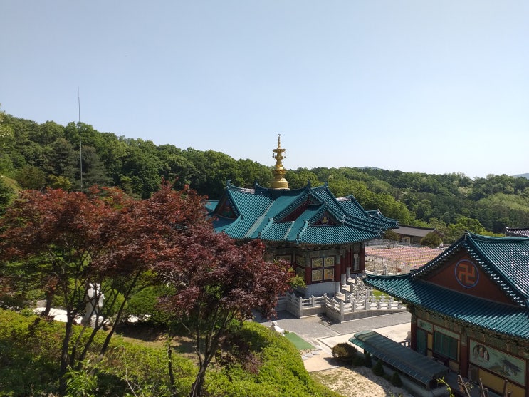  용인 법륜사(法輪寺)의 봄날 풍경