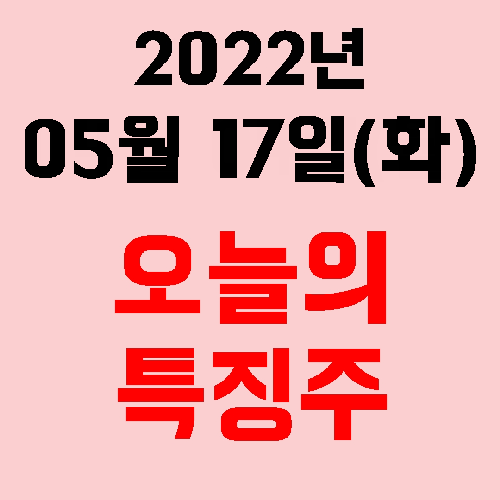 오늘의 시장 특징주 2022년 05월 17일(화)