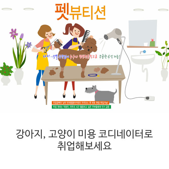 강아지, 고양이 미용 코디네이터로 취업해보세요