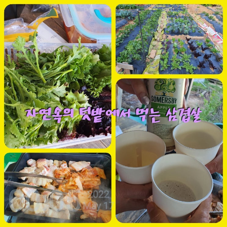  텃밭에서 자연과 같이 먹는 삼겹살 구이는 자꾸자꾸 먹게되어요~