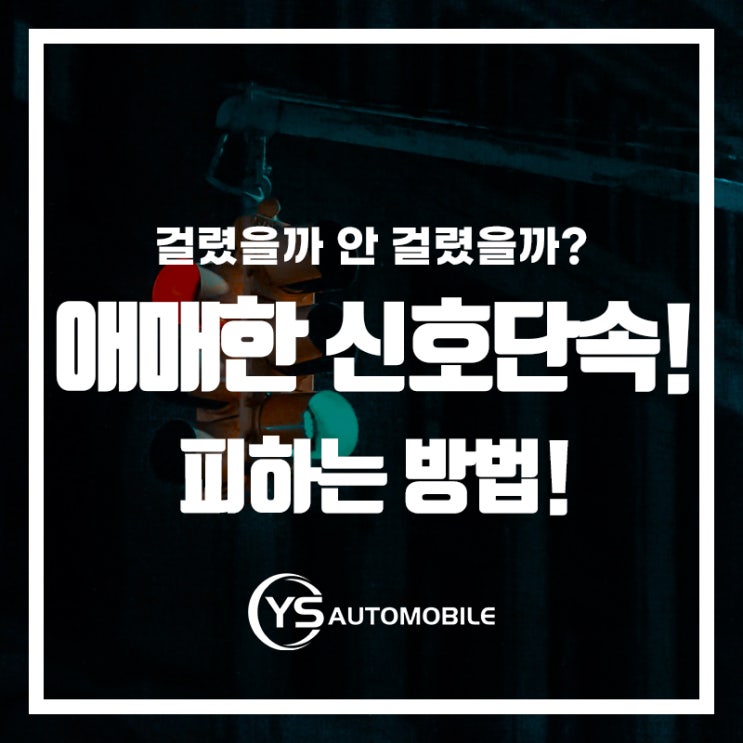  피했을까? 과태료 아끼는 애매한 신호단속 피하는 법