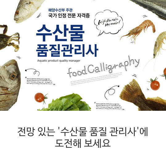  전망 있는 '수산물 품질 관리사'에 도전해 보세요