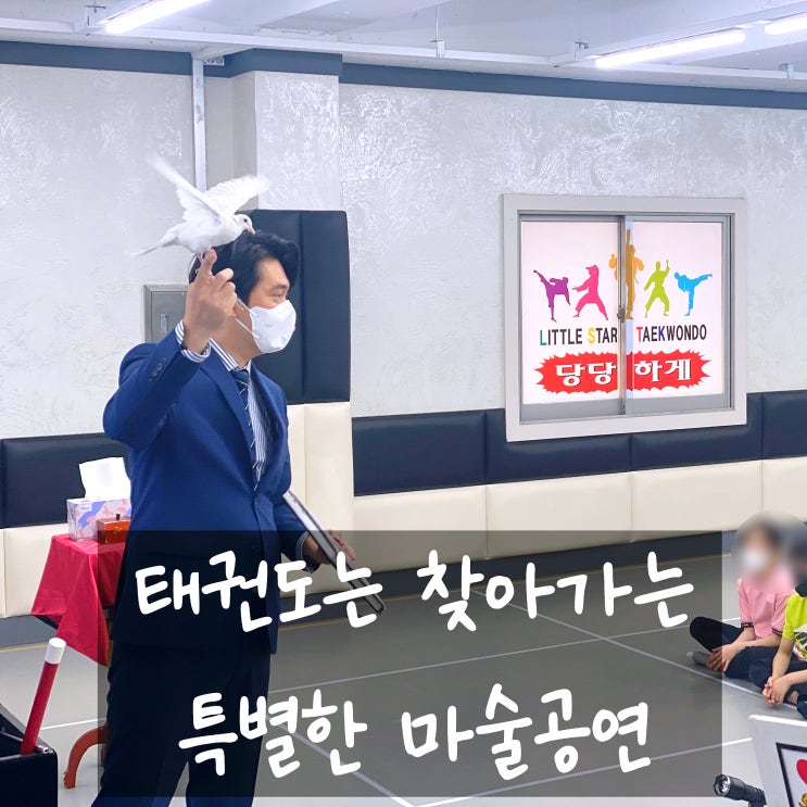  안동 경산 대구 마술공연 태권도로 찾아가는 스토리텔링 매직쇼 반응이 확실히 다른 매직쇼!(동영상 있음)