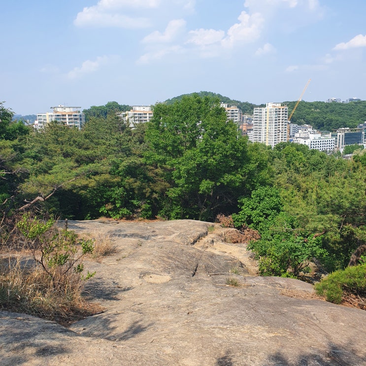  [여행] 서울 둘레길 4코스 (4-2코스, 우면산)