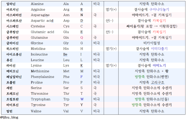  [생화학] Ⅲ. 아미노산과 펩타이드 (아미노산의 구조와 성질, 적정곡선, 펩타이드 결합)