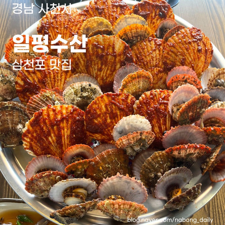  사천 케이블카 근처 가리비찜 맛있는 | 삼천포맛집 일평수산