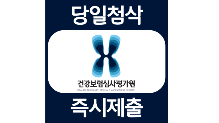 건강보험심사평가원 체험형 청년인턴 자소서항목 자기소개서 자소서 문항 입사지원서 채용지원 작성방법 가이드라인 첨삭받기 건강보험심사평가원 체험형 청년인턴 자소서항목 자기소개서 자소서 문항 입사지원서 채용지원 작성방법 가이드라인 첨삭받기