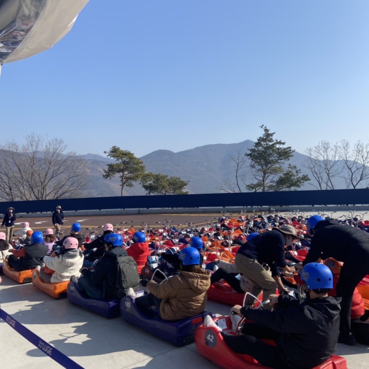  청도 군파크 루지 대구근교 갈만한 곳