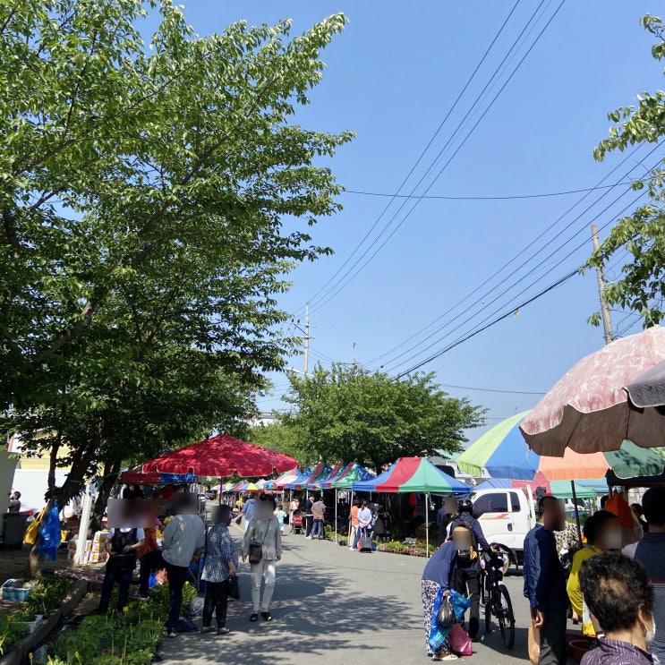  나주 전통시장 영산포풍물시장 장날(5,10) 구경