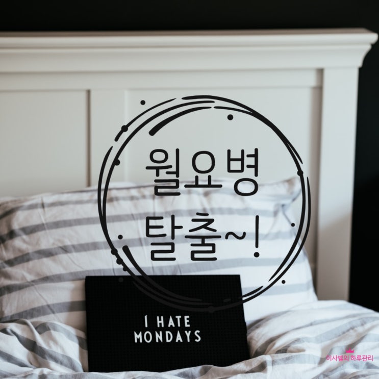 월요병 시작이다. 월요병 시작이다.