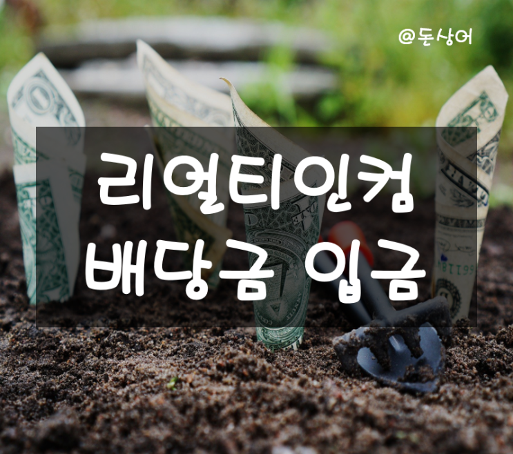  월배당주 리얼티인컴 배당금 입금