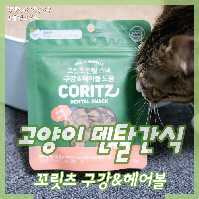  고양이 덴탈 간식 기호성 좋은 꼬릿츠 스낵