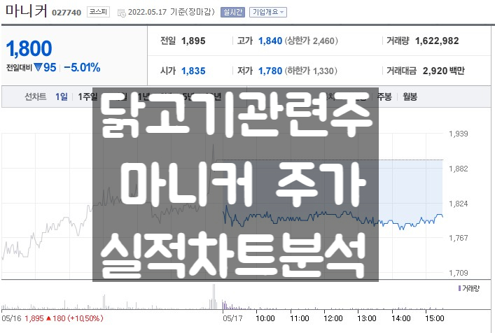  마니커 주가 닭고기 관련주 실적 전망과 차트 분석