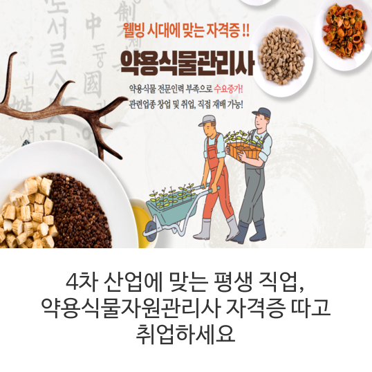  4차 산업에 맞는 평생 직업,  약용식물자원관리사 자격증 따고 취업하세요