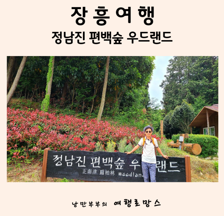  장흥 가볼만한곳:: 산림치유여행 장흥 정남진 편백숲 우드랜드