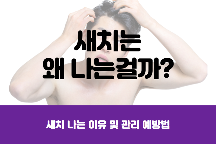  새치 나는 이유