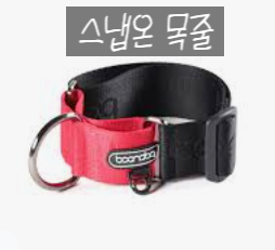  산책 훈련에 대하여!!