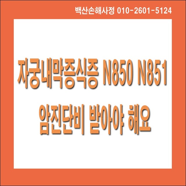 자궁내막증식증 N850 N851 암진단비 받아야 해요..