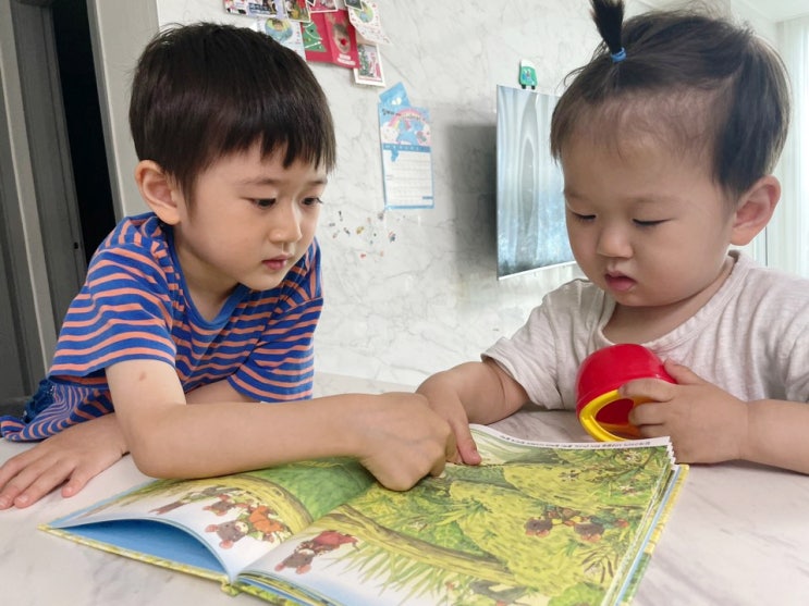  동물과 자연을 소재로 한 아름다운 그림책 <14마리의 봄 소풍>