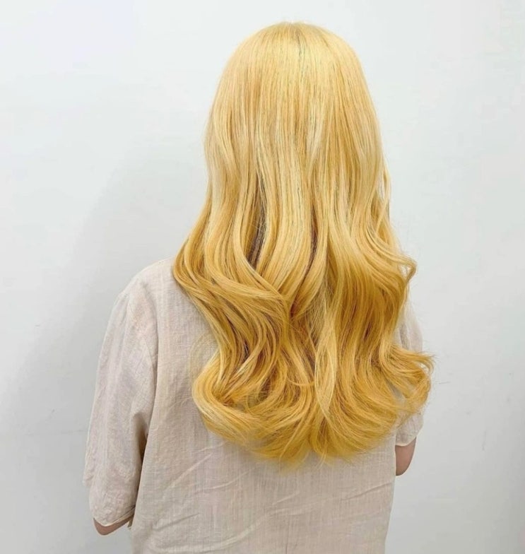  제주시청미용실, 헤어바이로니! 머릿결 손상 줄여주는 PPT영양 쿠폰!