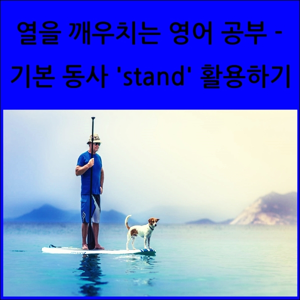  기본 동사 100% 활용하기 - 'stand'