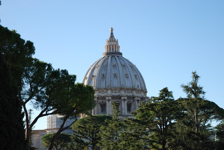 [이탈리아 로마 여행1] 바티칸 반일투어 시작 - 에어비엔비 숙소/국제학생증/맘마미아 투어/입장료/바티칸 시국
