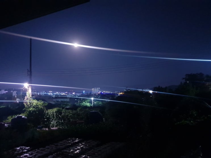  레드콤보 교촌콤보 허니순살 교촌치킨 상봉점 내돈내산 포장 솔직후기 / 콩이의 일상