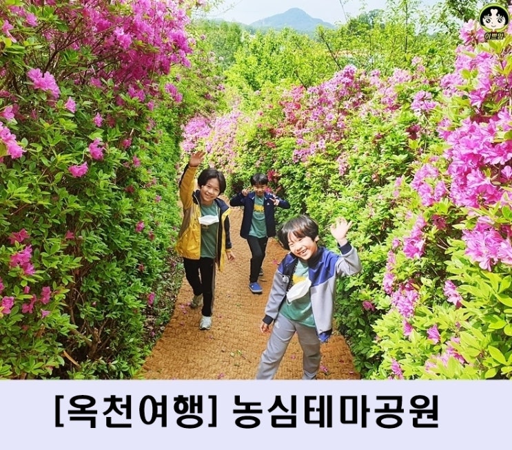  옥천 아이와 가볼만한 곳 : 옥천농심테마공원 옥천가볼만한곳 원예치료정원