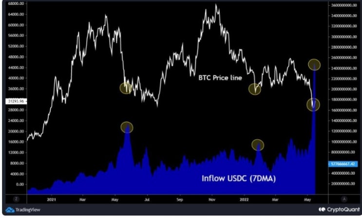  스테이블 코인 안전한가? USDT보다는 USDC로 보관하자