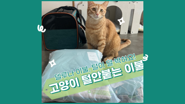  고양이 털 안 붙는 이불, 델루나로 포근하게!