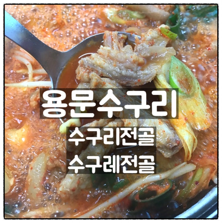  용문수구리 수구리전골 수구레전골 리뷰