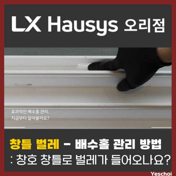  창호 창틀 배수홀 벌레 막는 방법