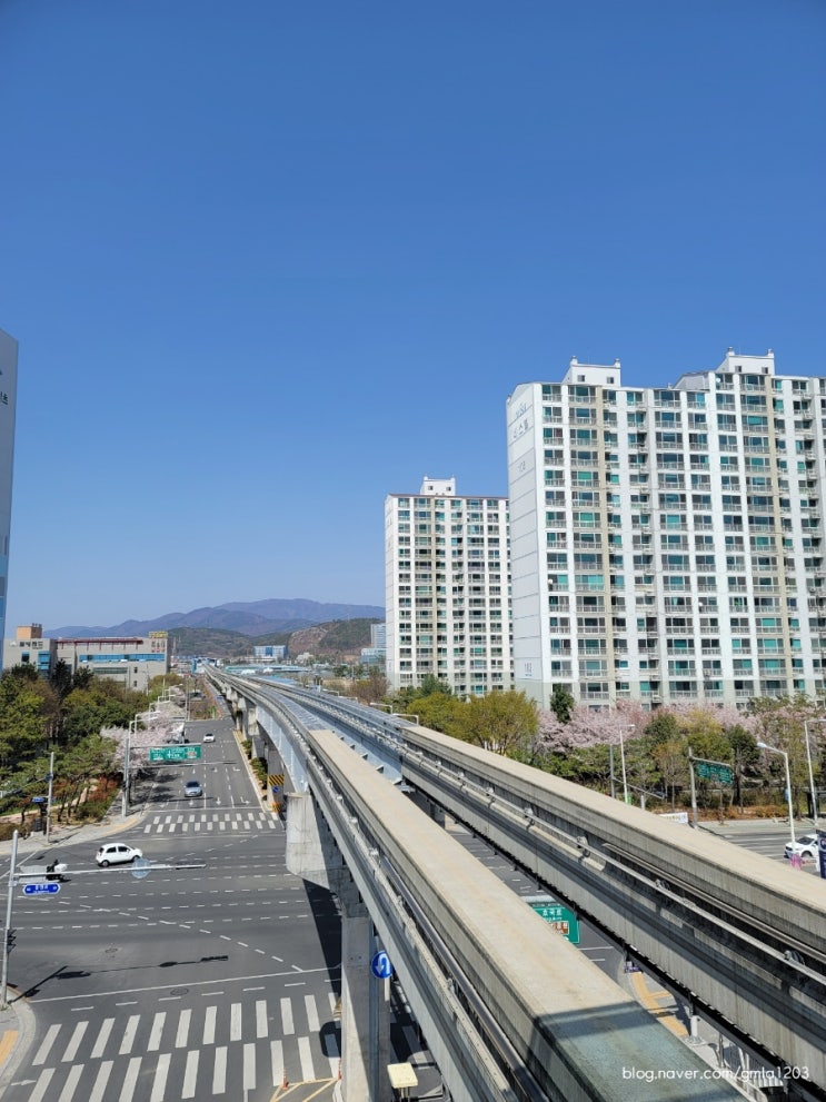  자궁근종, 내막용종 제거 후 외래 진료 보기!!