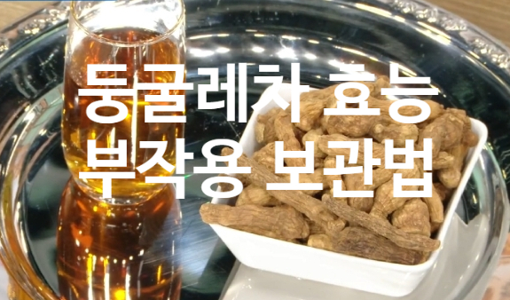  둥굴레차 효능 부작용 (ft. 둥굴레 고르는 법 손질법 보관 방법)