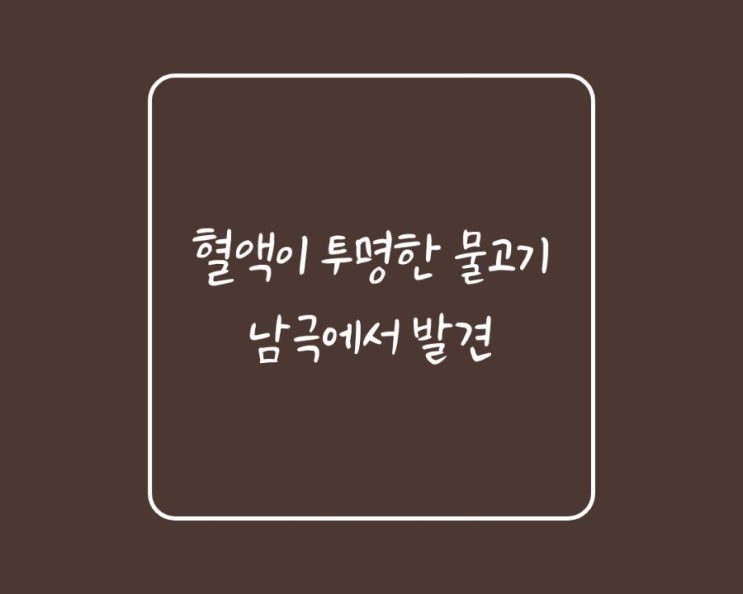  (유용한정보)혈액이 투명한 물고기,남극에서 발견