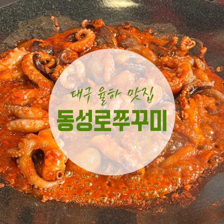  대구 율하 광장 맛집, 점심 메뉴로 동성로 쭈꾸미 추천해요!