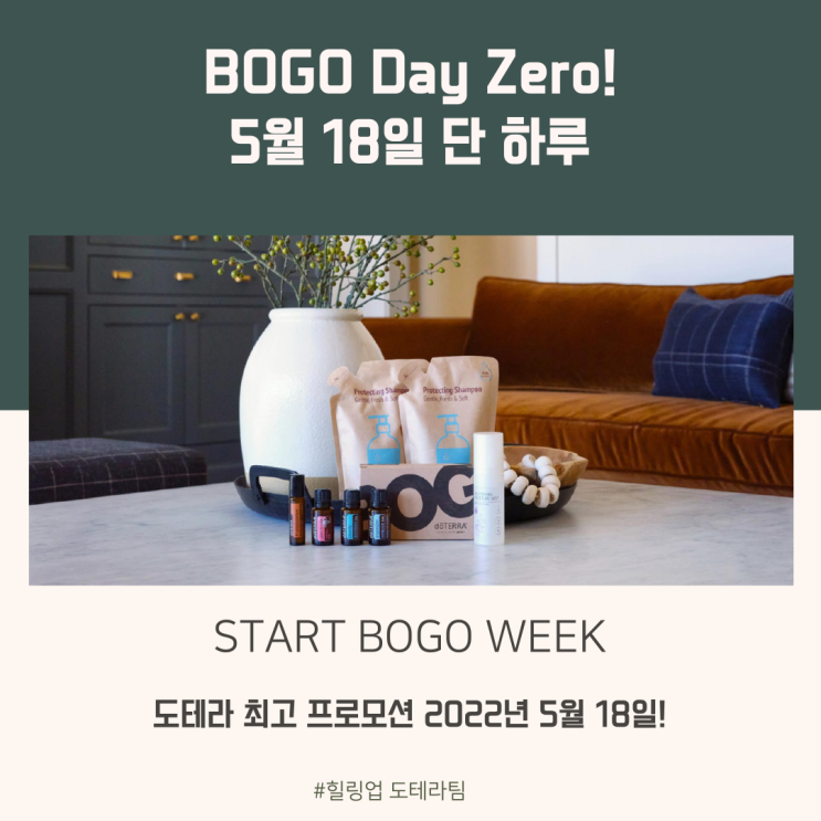  도테라프로모션 BOGO 보고데이가 시작했어요 5월 18일 오늘만 특전!