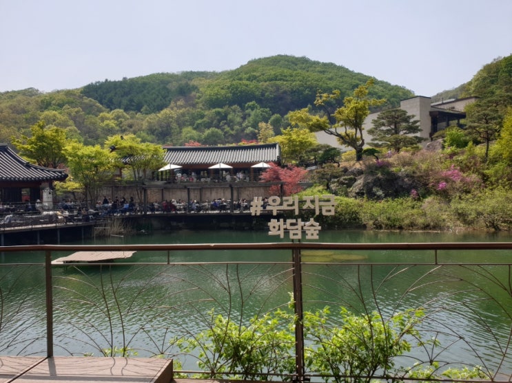  화담숲 봄 수선화 축제 다녀왔어요 (화담숲 주차, 예약방법)
