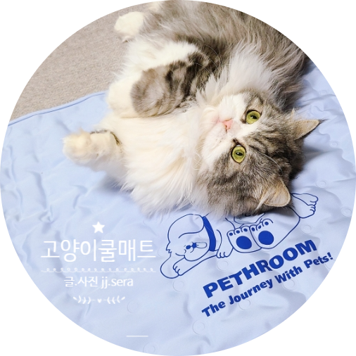 페스룸 고양이쿨매트 로 여름철 무더위로부터 냥이를 보호해 주세요.