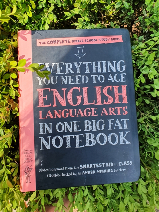  [영어원서 소개] EVERYTHING YOU NEED TO ACE 시리즈는 학생에게 양보하세요