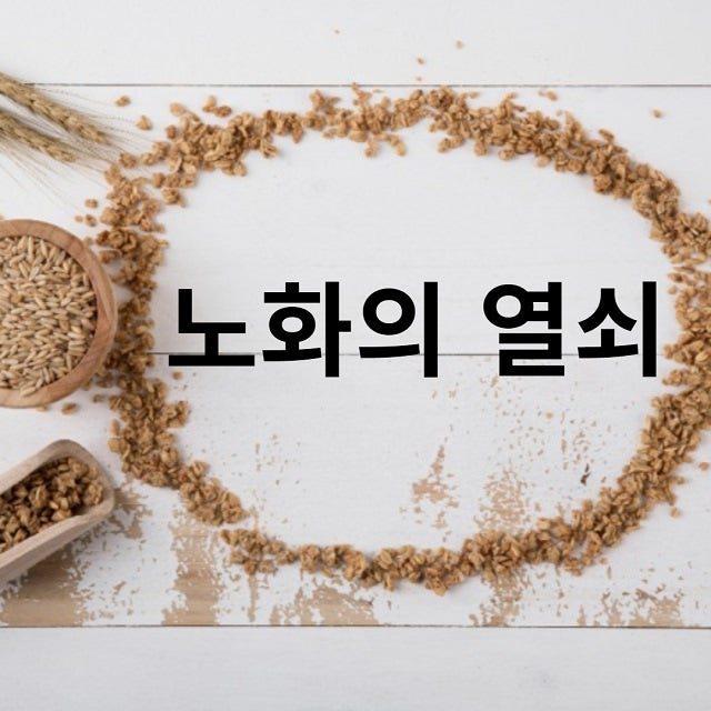  노화방지,장건강에 좋은 음식(면역력을 높이는 방법)