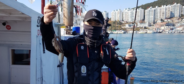 두족류(주꾸미 갑오징어 문어 오징어 낙지) 금어기를 알아볼까요?
