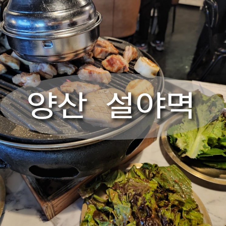  양산범어택지 설야멱 대접받는 기분으로 잘 먹고 왔습니다