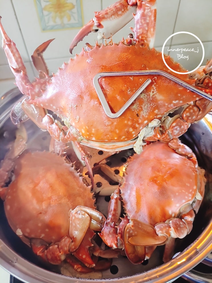  서더리 매운탕 끓이기 꽃게찜 소라 찌는 방법 광어회 우럭회로 해산물 파티