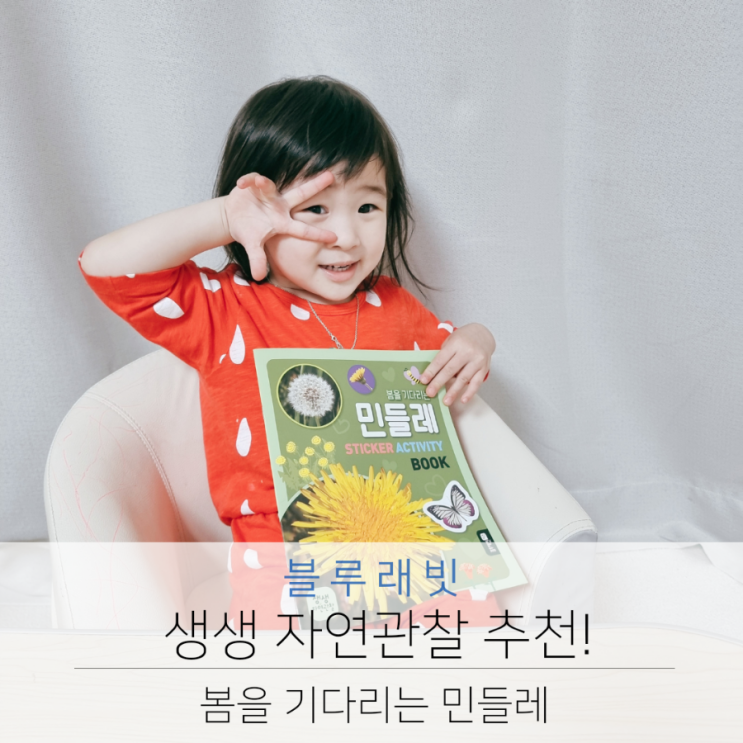  블루래빗 자연관찰추천 봄을 기다리는 민들레