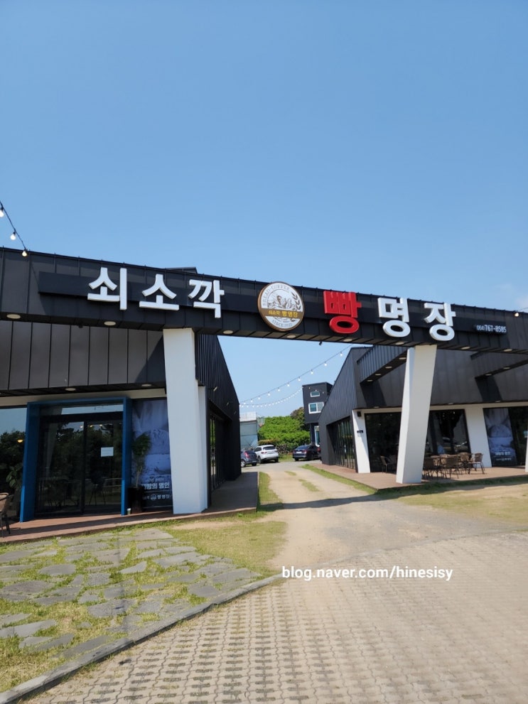  봄 제주여행 쇠소깍 빵 명장 위치 소개 후기