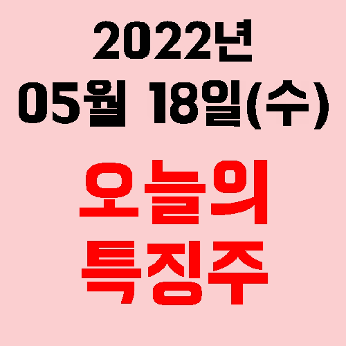  오늘의 시장 특징주 2022년 05월 18일(수)