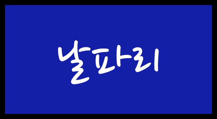 날파리 꿈 해몽 잡는 꿈 날파리가 많은 꿈