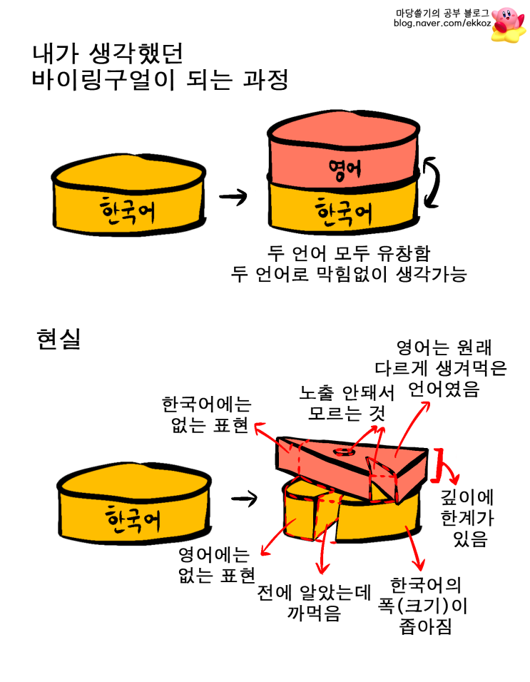  토종 한국인이 바이링구얼로 진화하는 과정
