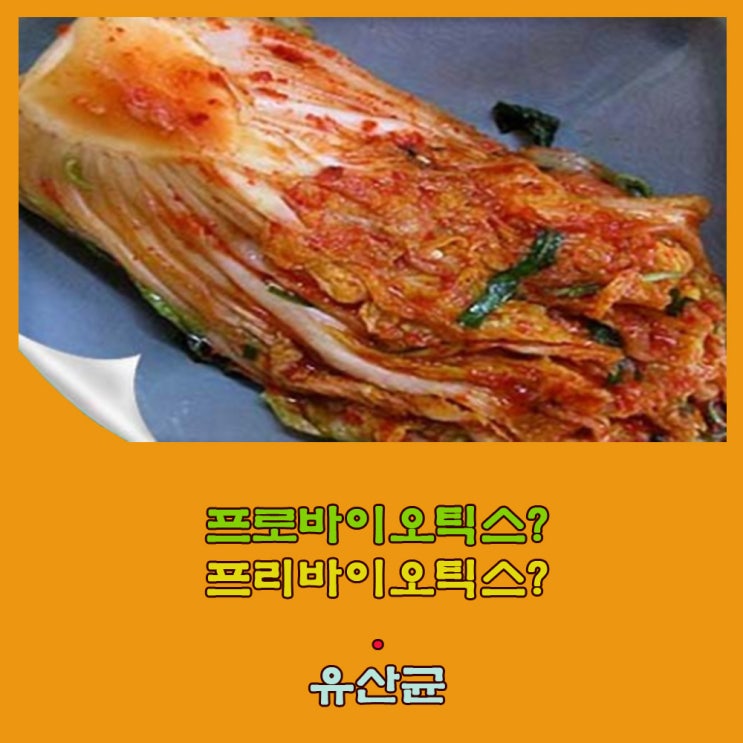 프로바이오틱스. 프리바이오틱스. 유산균